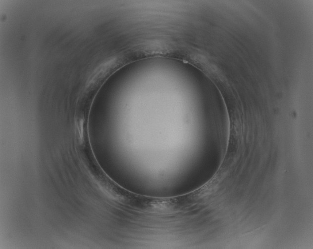 X0000076410070200610061150