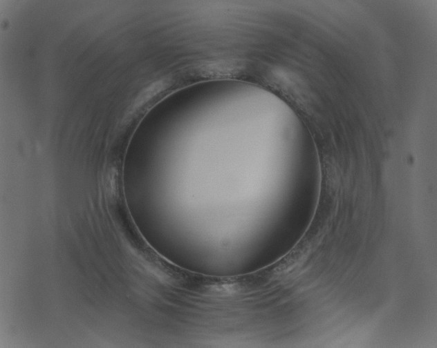X0000076410071200610061150