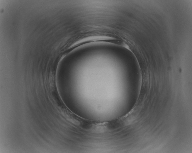 X0000076410078200610061150