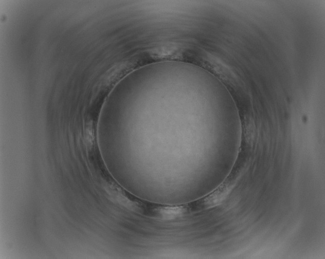 X0000076410085200610061150