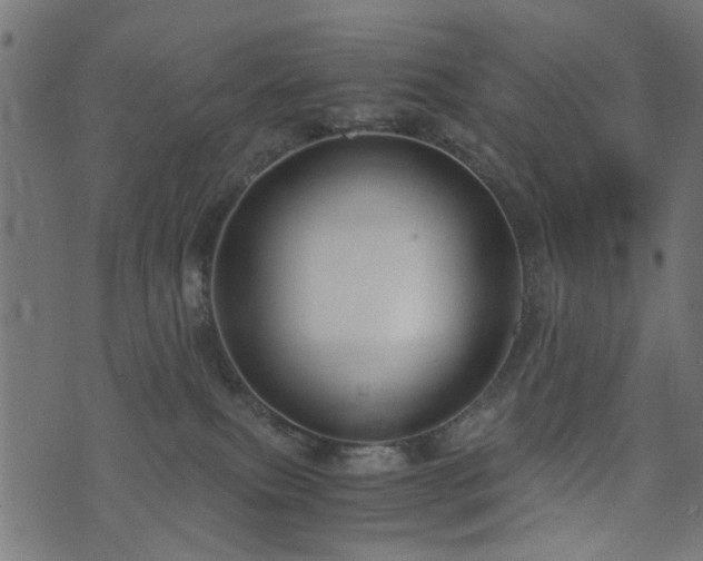 X0000076410087200610061150