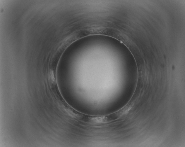 X0000076410089200610061150