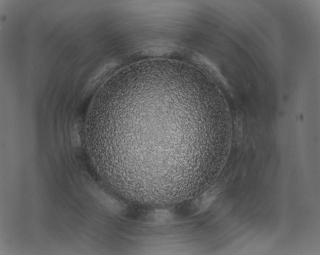X0000076410114200610061149