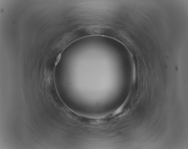 X0000076410125200610061149
