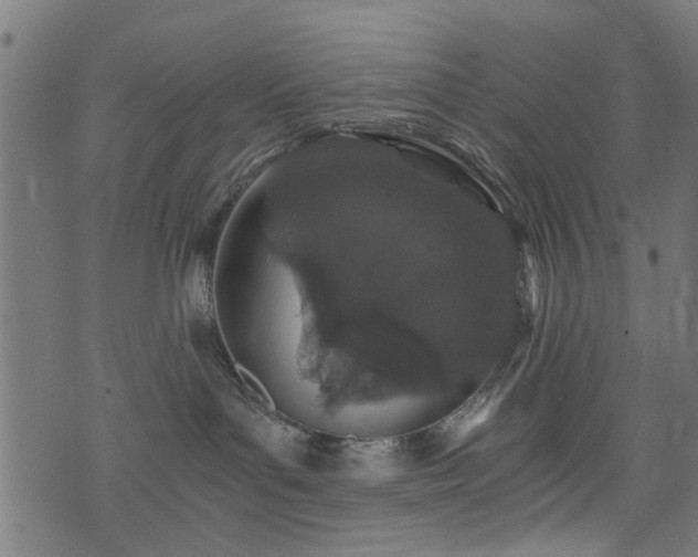 X0000076410143200610061149