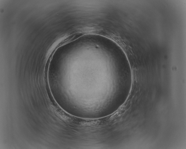 X0000076410147200610061148