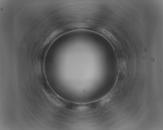 X0000076410158200610061148