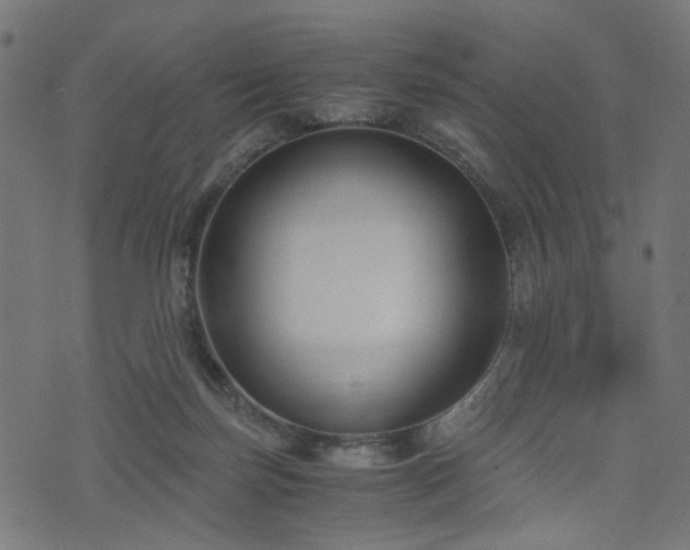 X0000076410171200610061148