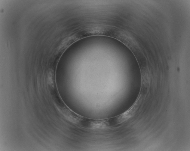 X0000076410175200610061148
