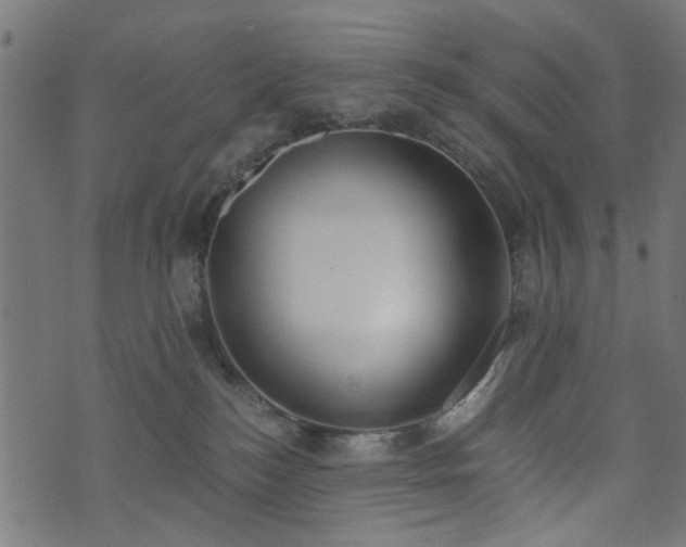 X0000076410184200610061148