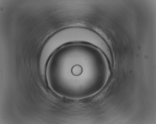 X0000076410201200610061148