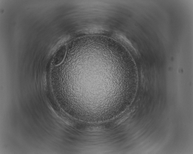 X0000076410202200610061148