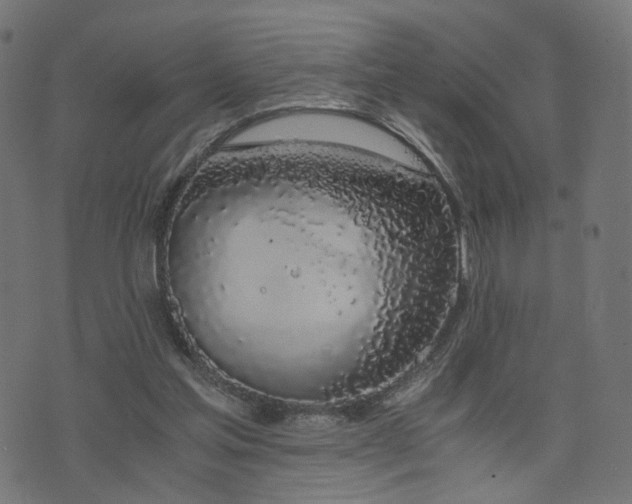 X0000076410205200610061148
