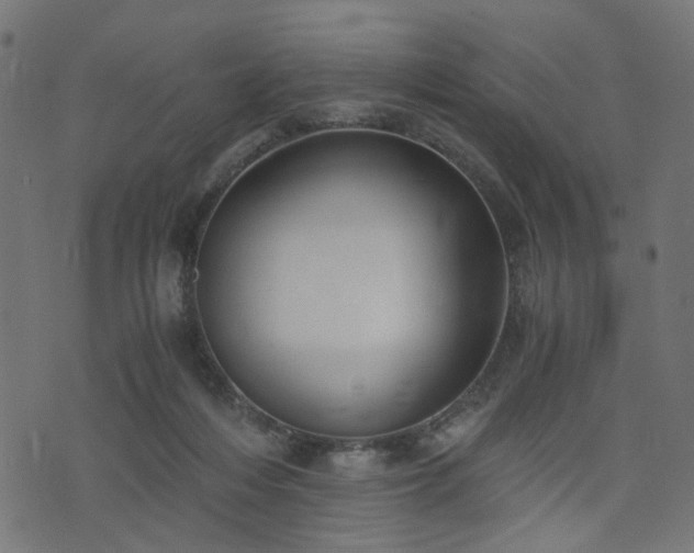 X0000076410216200610061147