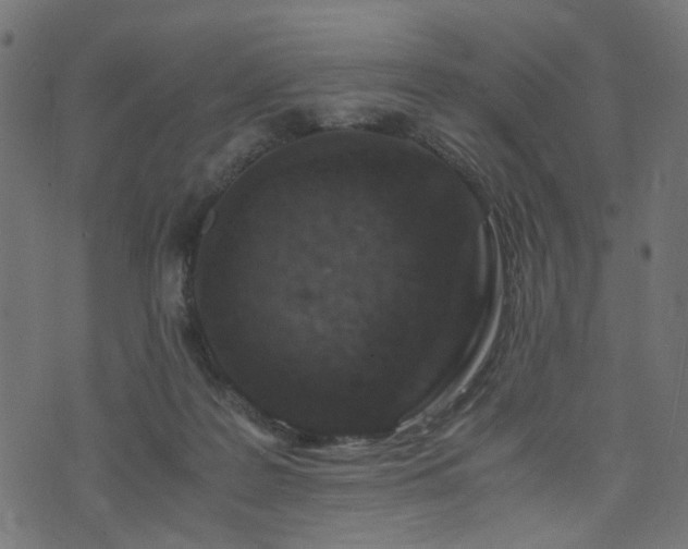 X0000076410219200610061147