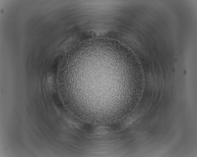 X0000076410222200610061147