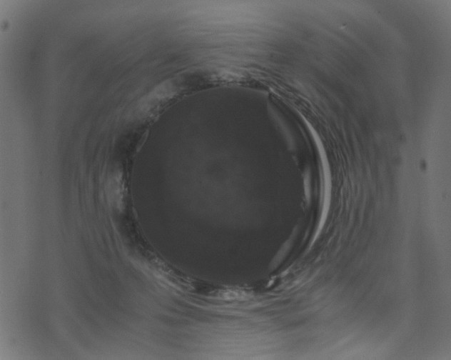 X0000076410223200610061147