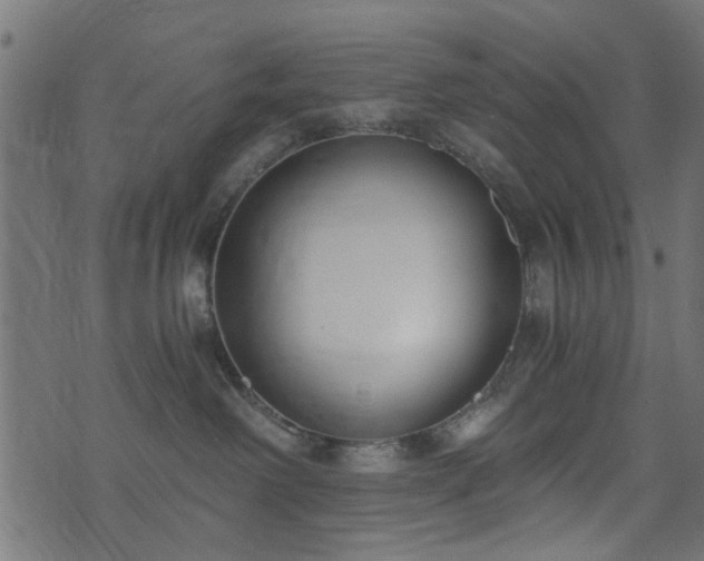 X0000076410238200610061147