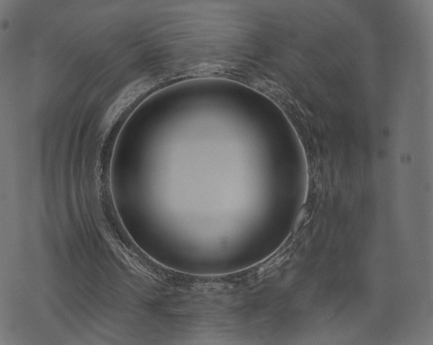 X0000076410242200610061146