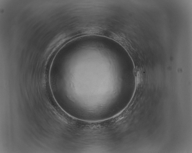 X0000076410243200610061146