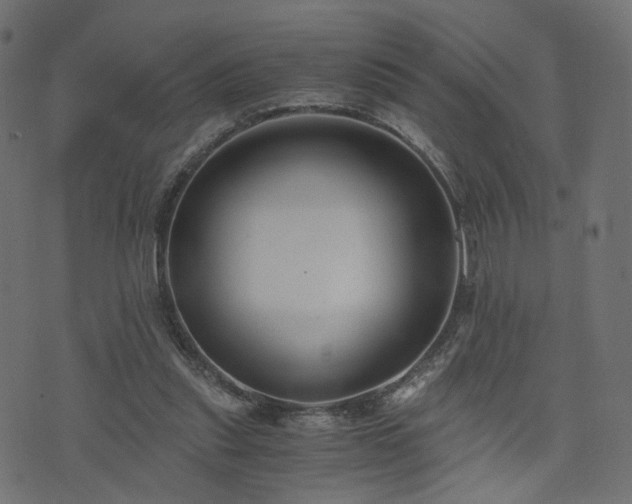 X0000076410253200610061146