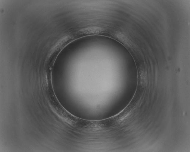 X0000076410254200610061147