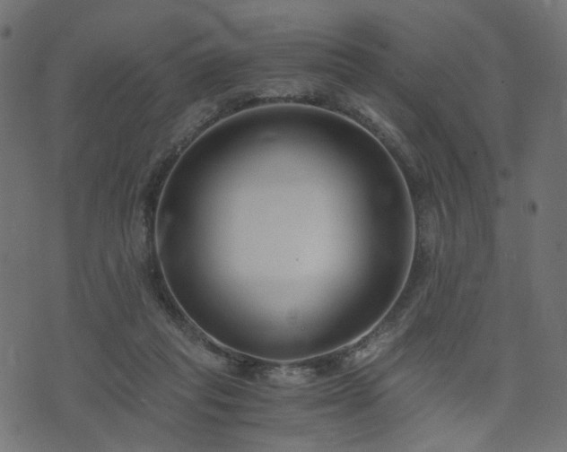 X0000076410261200610061147
