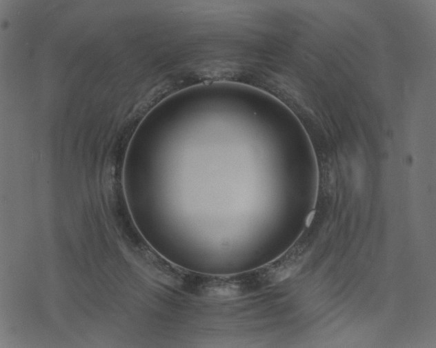 X0000076410263200610061147