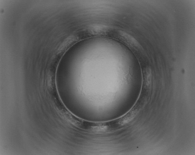 X0000076410266200610061147