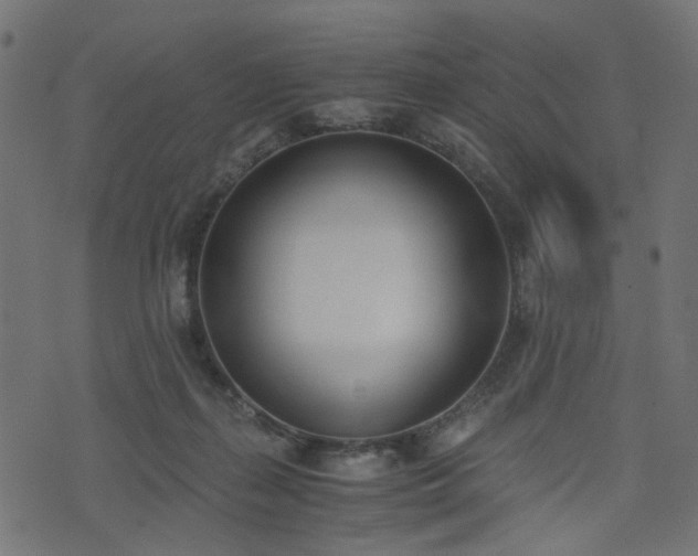 X0000076410267200610061147