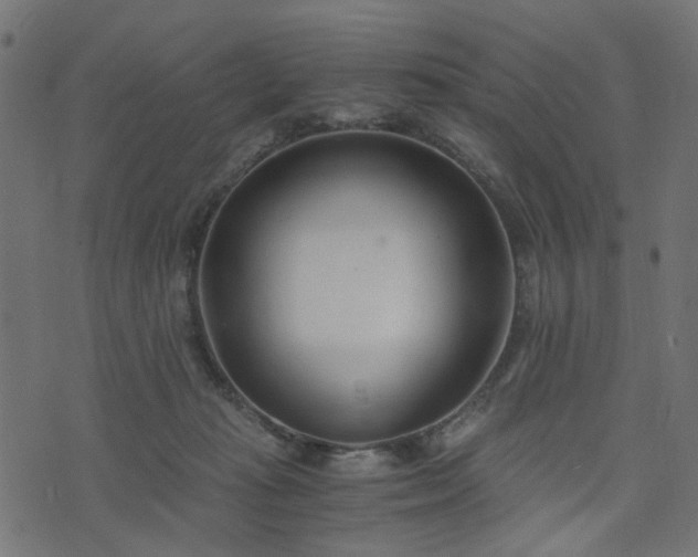 X0000076410269200610061147