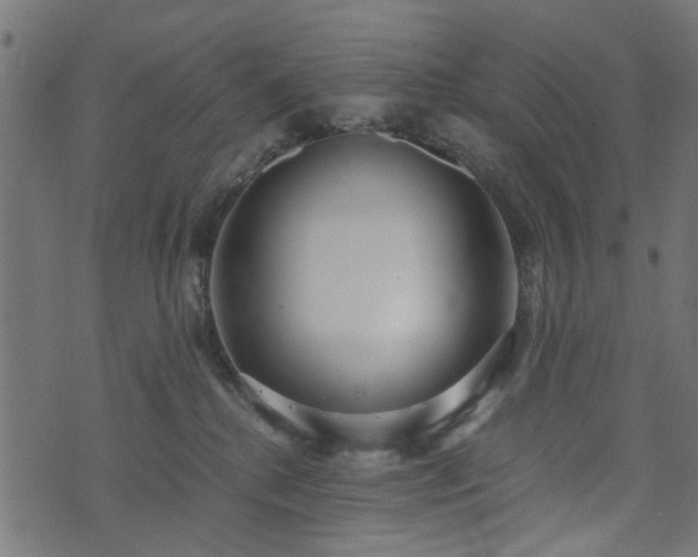 X0000076410280200610061147
