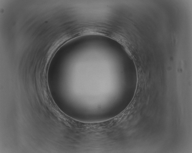 X0000076410289200610061146