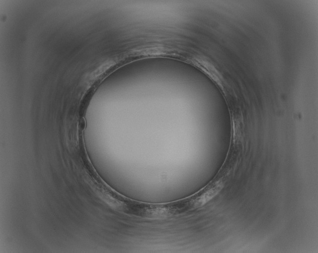 X0000076410301200610061146