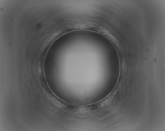 X0000076410305200610061146