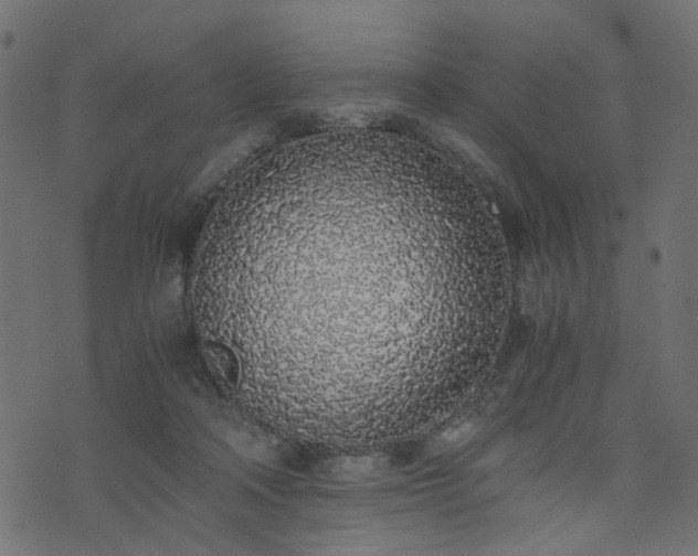 X0000076410314200610061146