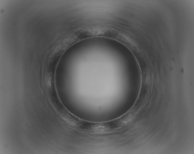 X0000076410315200610061146