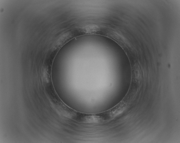 X0000076410316200610061146