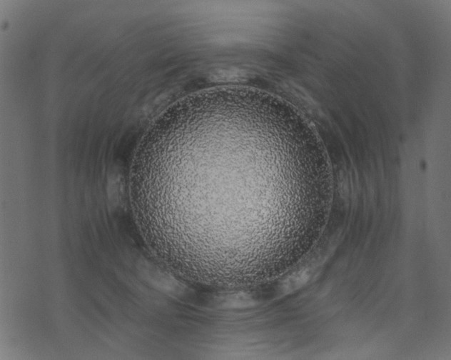 X0000076410322200610061146