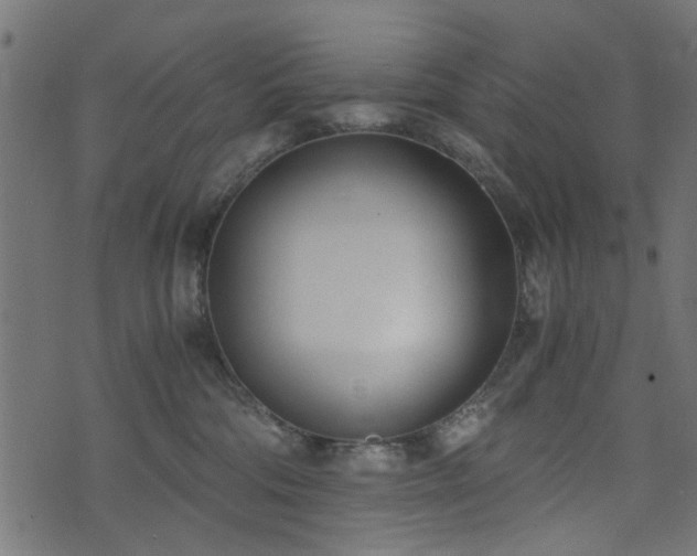 X0000076410330200610061146