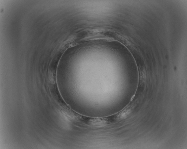 X0000076410331200610061146