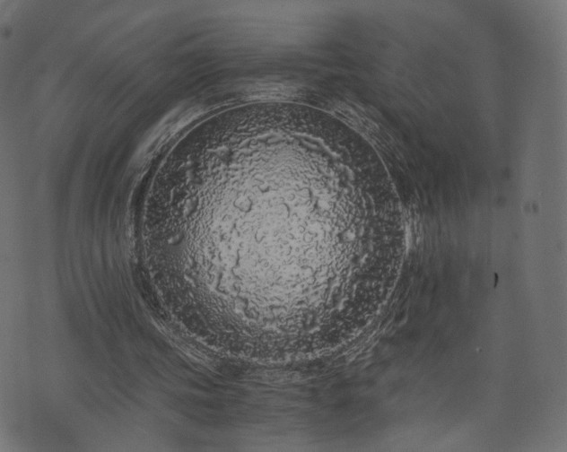 X0000076410339200610061145