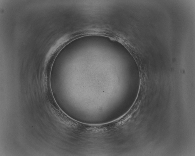 X0000076410343200610061145