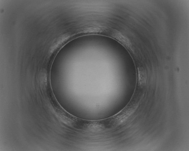 X0000076410348200610061145