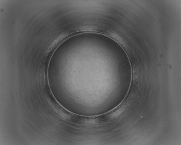 X0000076410349200610061145