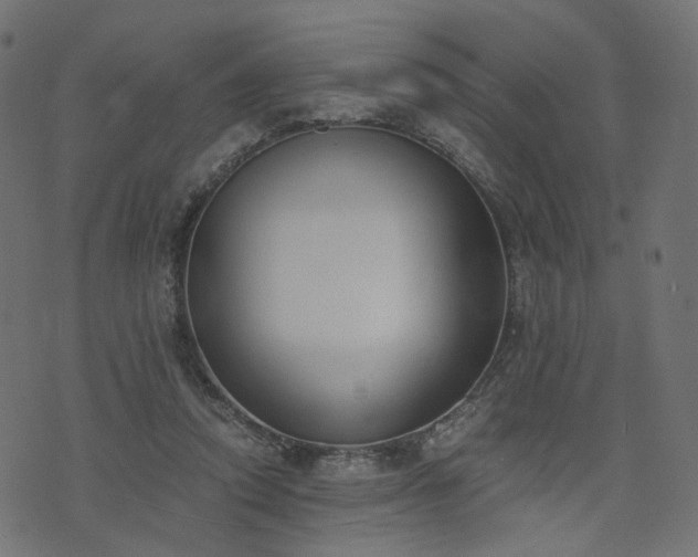 X0000076410354200610061145