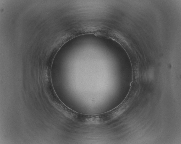 X0000076410362200610061145