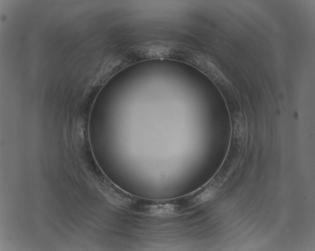 X0000076410363200610061145