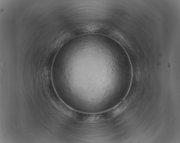 X0000076410366200610061145