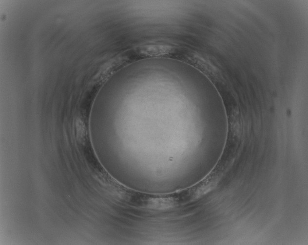 X0000076410371200610061145